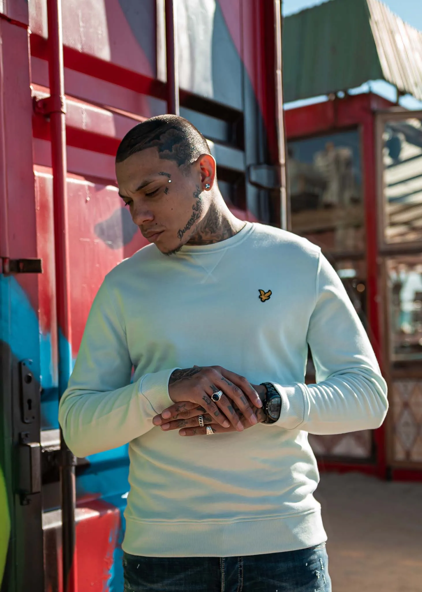 Crew neck sweatshirt - ice