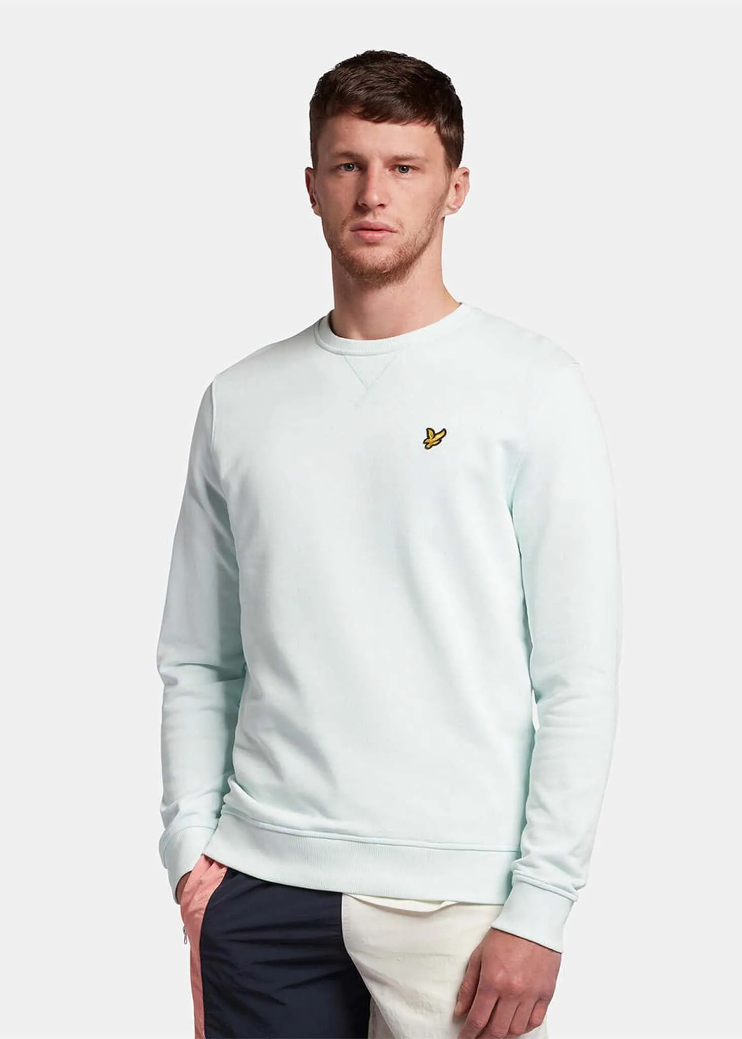Crew neck sweatshirt - ice
