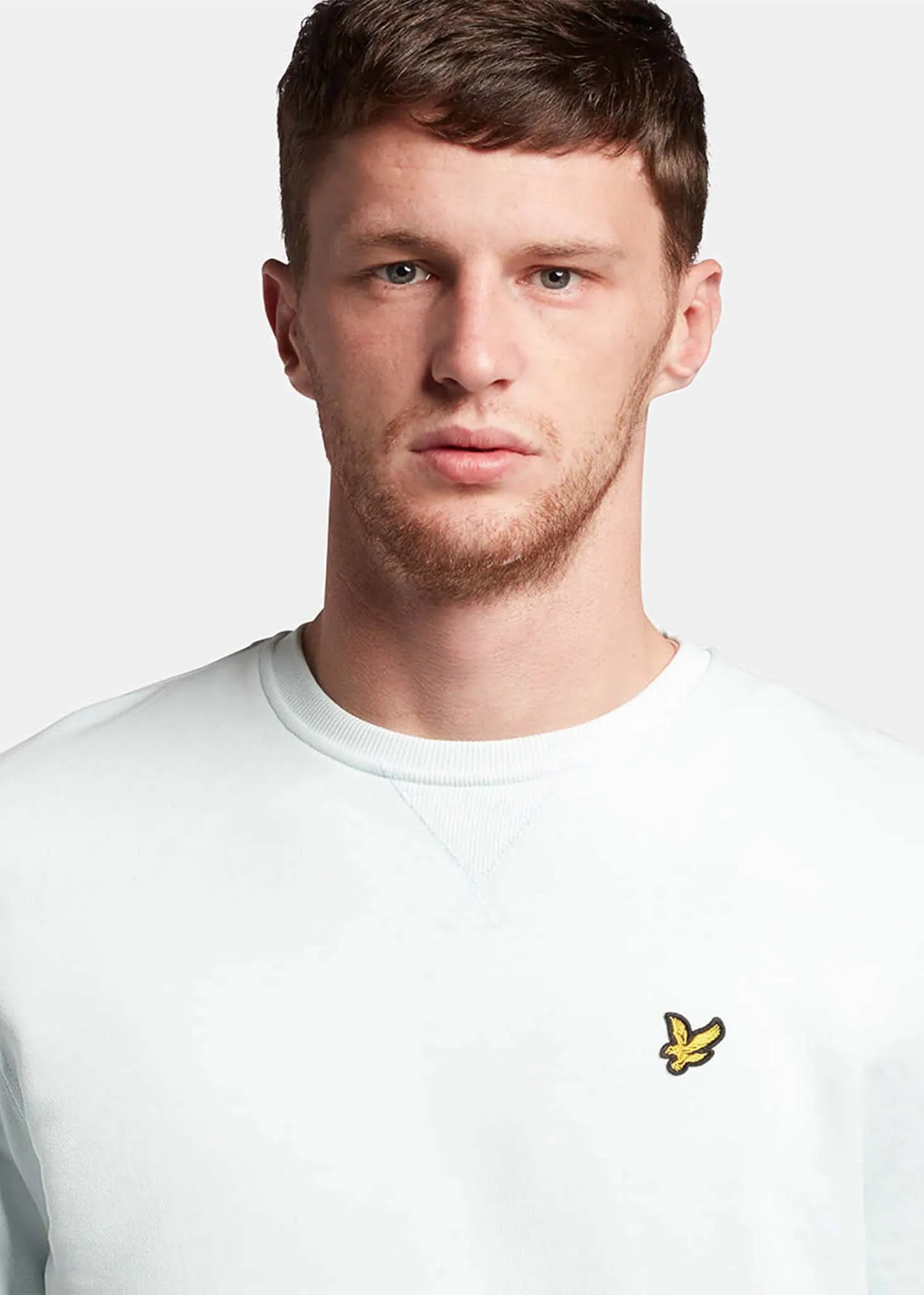 Crew neck sweatshirt - ice
