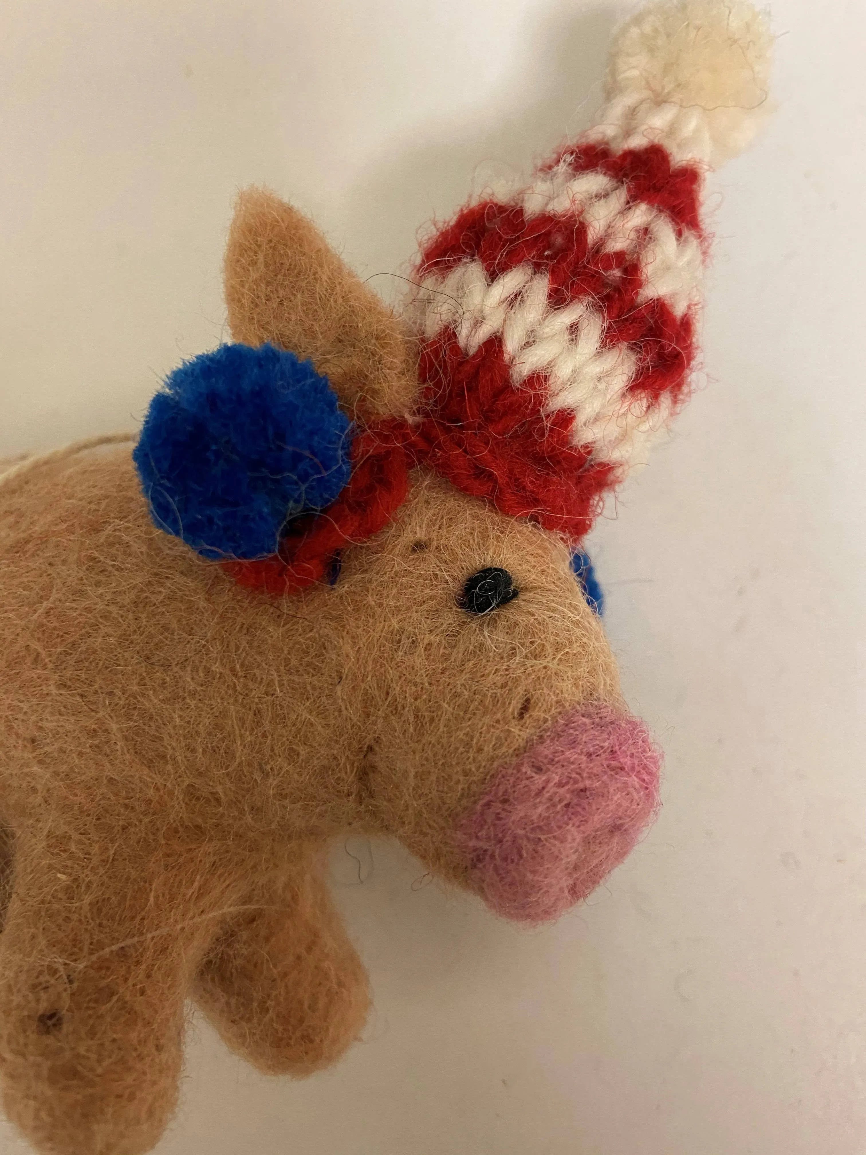 Felted Wool "Pig Pickles" w Earmuffs & Hat