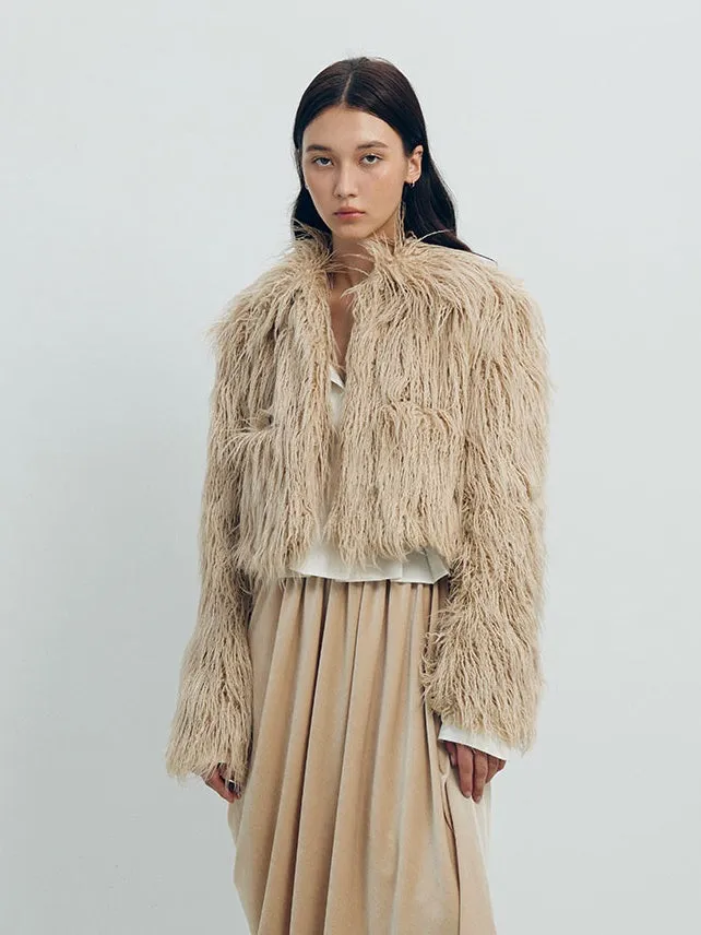 Short Fur Coat